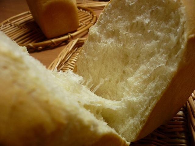 8月23日(土) 白神こだまサロン_d0138307_23281381.jpg