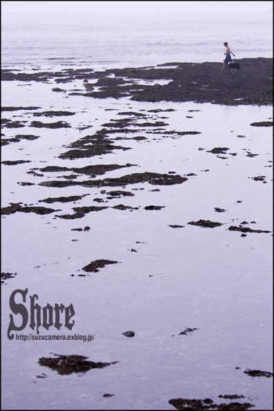 Shore_f0100215_1496100.jpg
