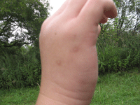 a0086316_530427.gif