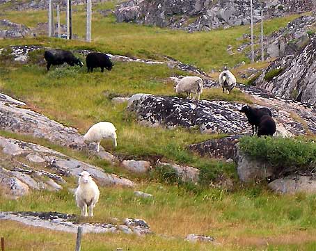 d0062721_76718.jpg