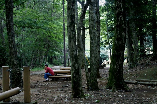森のきのこ特集P-1のご紹介です。八菅山ハイキングコースにて。_b0033423_1217183.jpg