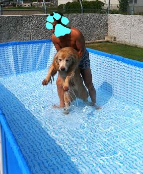 なつやすみ 2008_e0065928_11131789.jpg