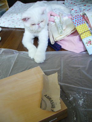 涼しいね_d0152937_205437.jpg