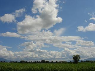 a0014840_2210266.jpg