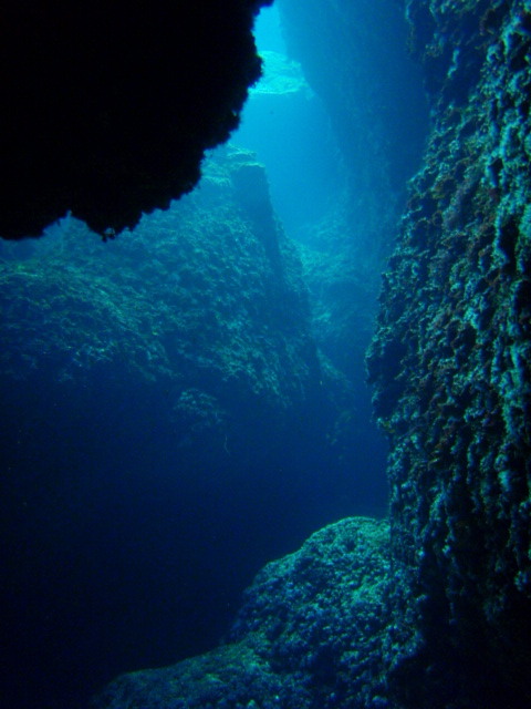 c0142045_1013713.jpg