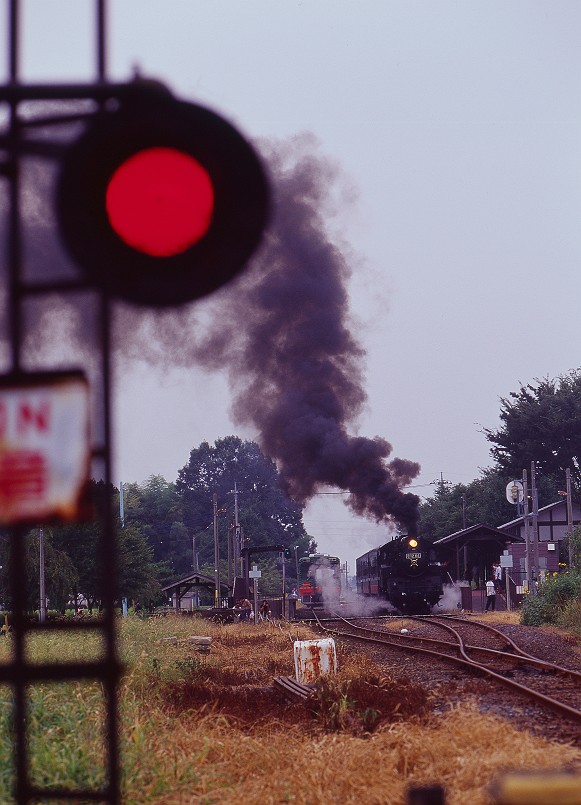 雨の真岡鉄道・・・・_f0169053_18485646.jpg