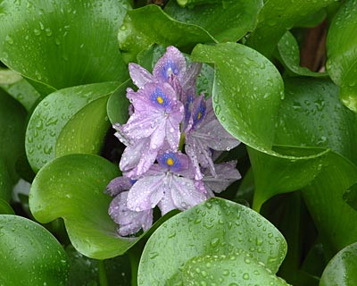 e0035757_2221688.jpg