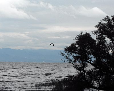 e0035757_2222129.jpg