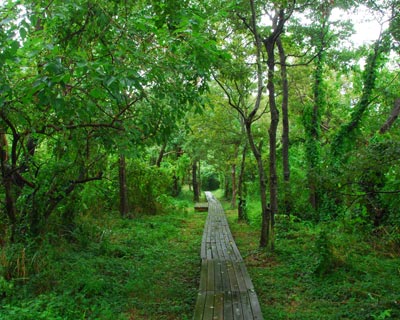 e0035757_22223111.jpg