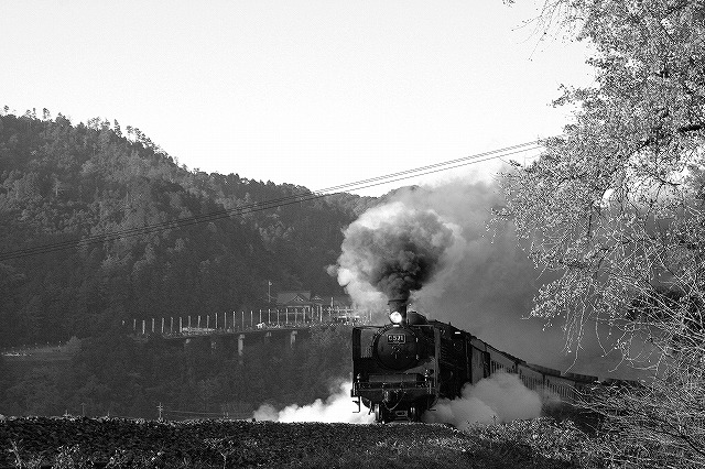 c0173762_1610193.jpg
