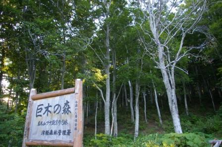 岩木山 自然の恵み ~夕陽編~_d0131668_1423448.jpg