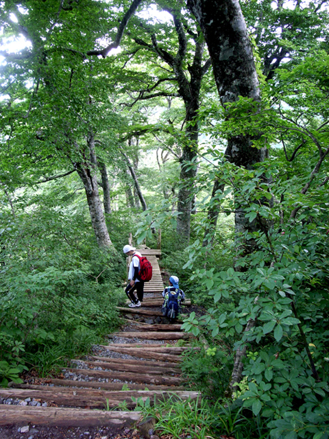 大山登山（元谷僧兵コース ブナ林編）_d0141173_1293421.jpg