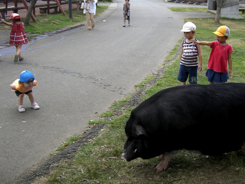 キャンプに行きました　08/08/14～15_d0126577_22331062.jpg