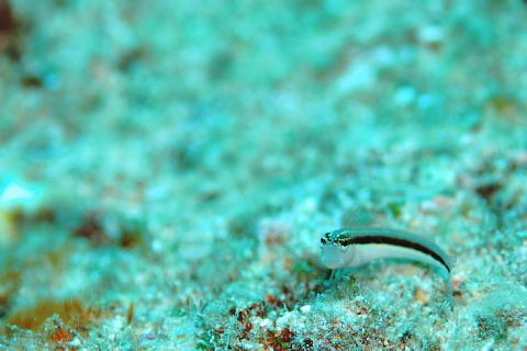 f0080385_21561489.jpg