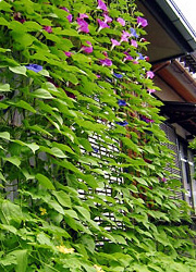c0160488_8483669.jpg