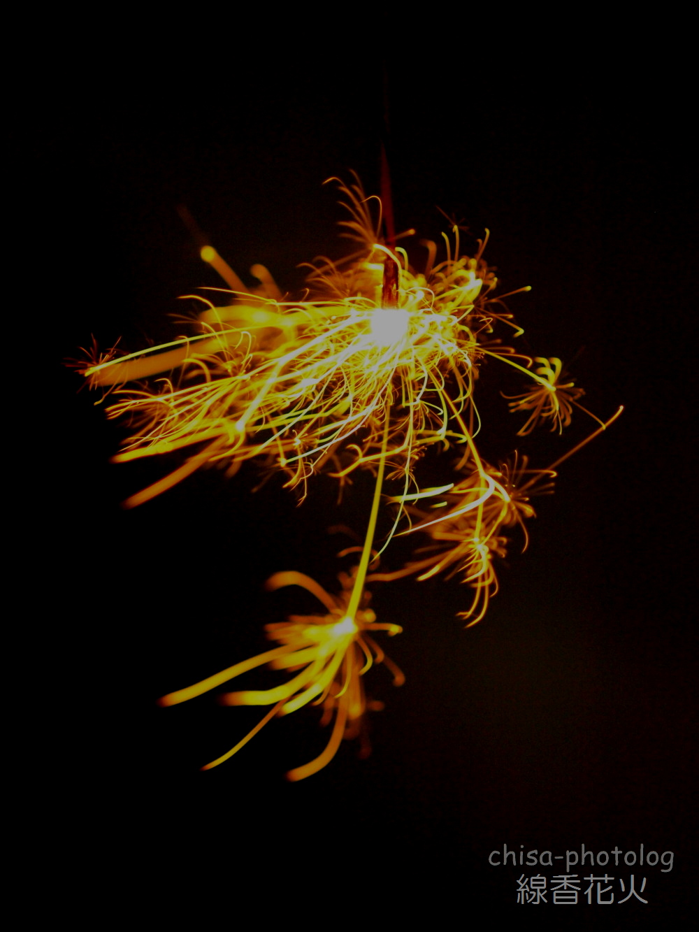 c0158998_07332.jpg