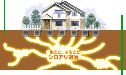 Q1多賀城の家:シロアリ対策。_e0054299_11354020.gif