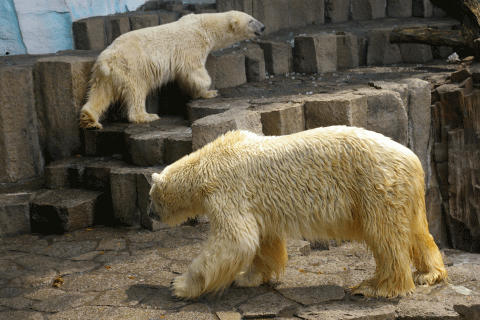 c0172101_1482891.gif