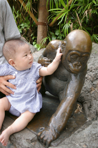 c0172101_1485922.gif