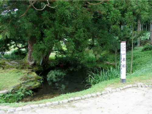 c0036203_1852274.jpg