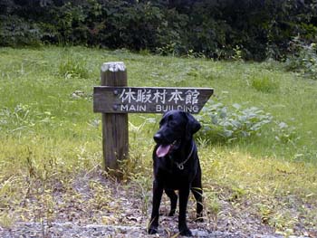 d0023103_16371666.jpg