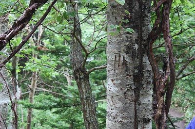 「北海道の旅／道東を行く」_d0001004_17351644.jpg