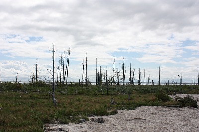 「北海道の旅／道東を行く」_d0001004_1736519.jpg