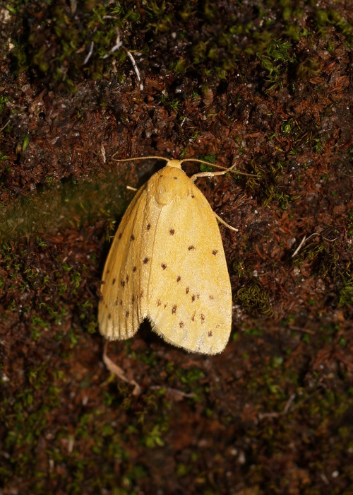 c0116915_23081.jpg