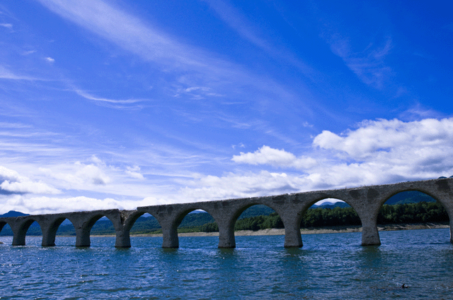 d0019422_1354048.gif