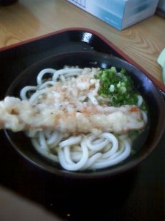 udon_c0131727_1104653.jpg