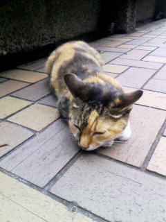 獅子十六の会_c0076939_211453.jpg
