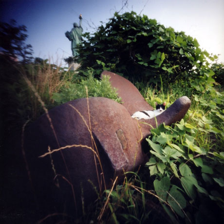お台場の猫と自由の女神 Pinhole Photography_f0117059_1838167.jpg