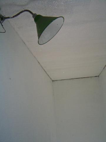 c0172261_16103612.jpg