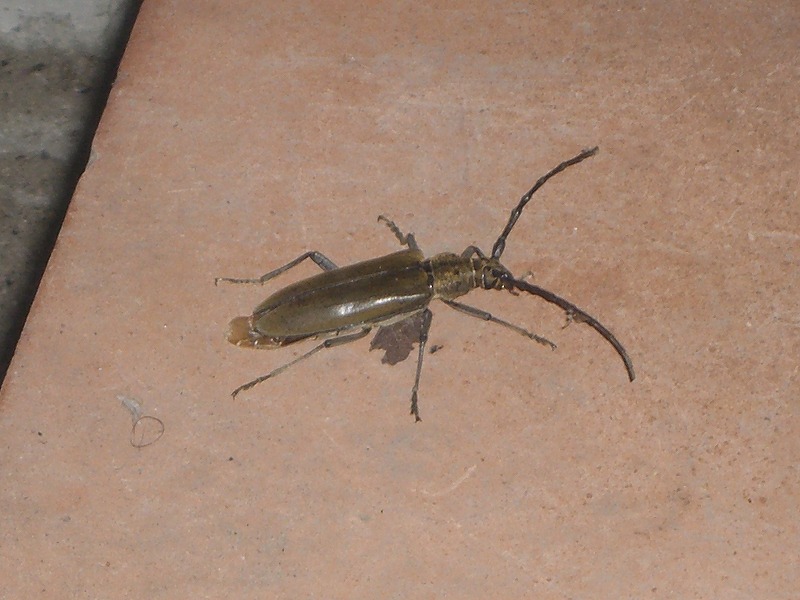 b0011980_22423158.jpg