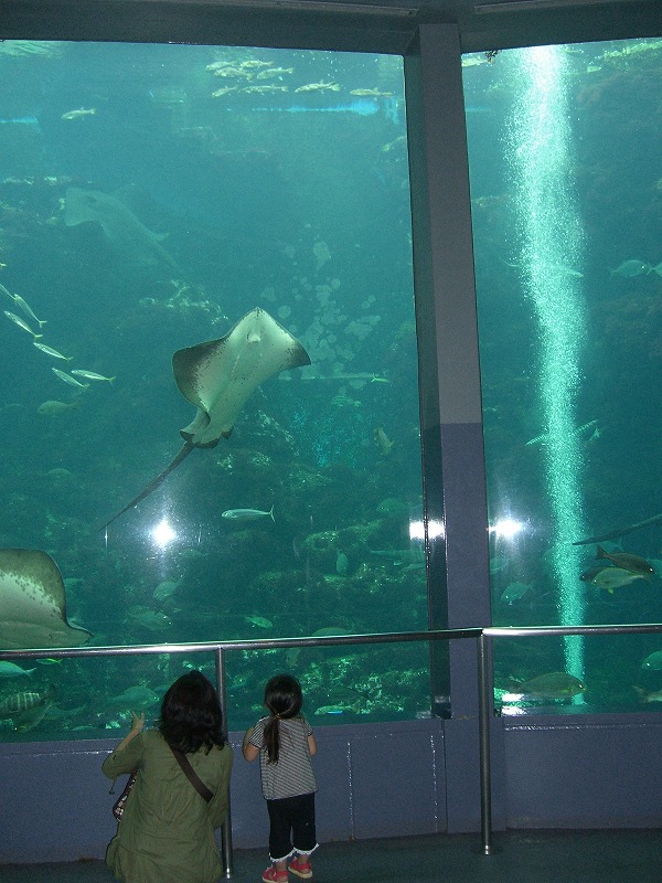 b0011980_23101075.jpg