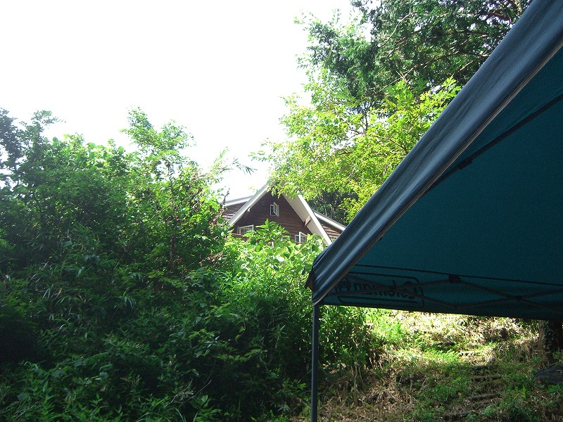 b0011980_231699.jpg