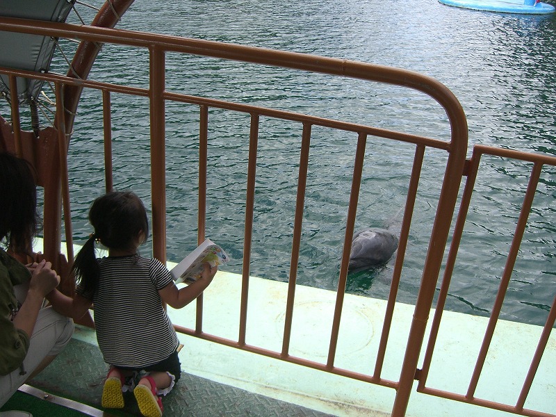 b0011980_2395517.jpg