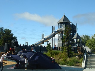 c0045287_4362969.jpg