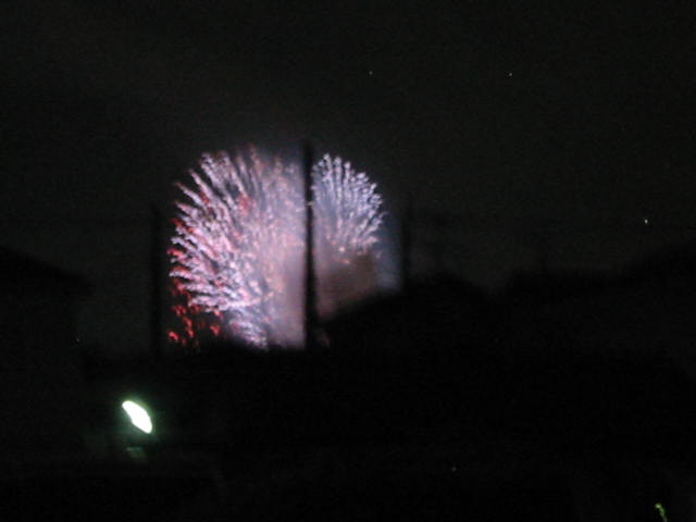 Ｈａｎａｂｉ！_d0040395_1221879.jpg