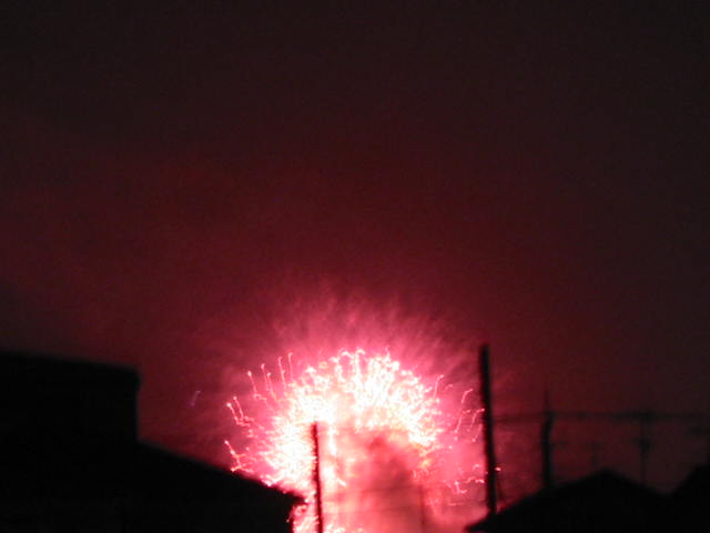 Ｈａｎａｂｉ！_d0040395_1241928.jpg