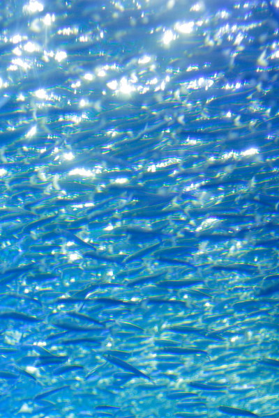 c0044199_22592541.jpg