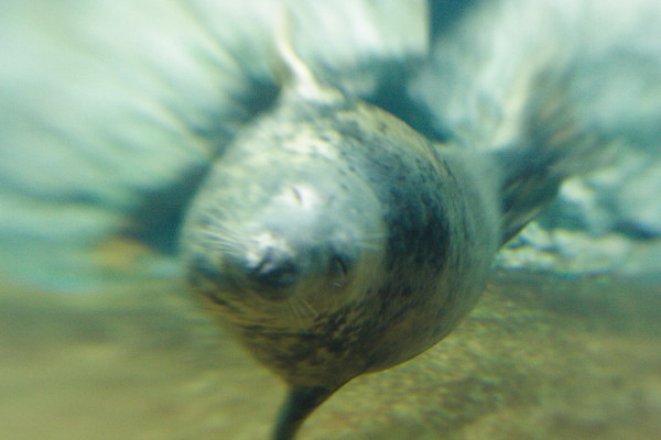 c0044199_2302020.jpg