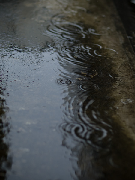 雨の日に_f0002801_22122823.jpg