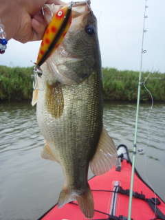 c0023804_1311816.jpg