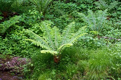 a0039307_023419.jpg