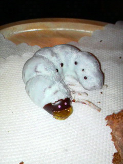 ただいま~_f0178313_1553042.jpg