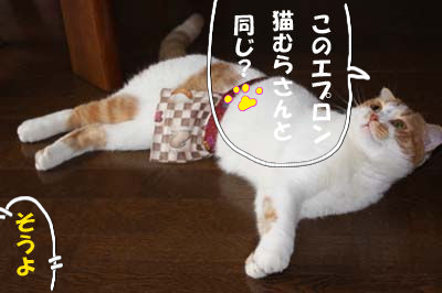 きょうの猫村さんを真似て うどんのイラスト絵日記