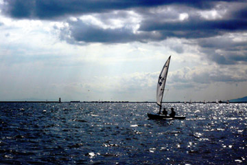e0083517_38026.jpg