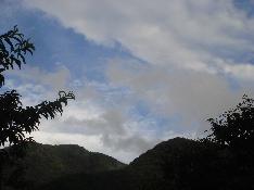 d0049221_22474958.jpg