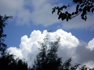 b0026822_1429386.jpg